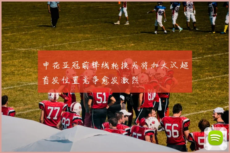 申花亚冠前锋线轮换或将加大汉超首发位置竞争愈发激烈