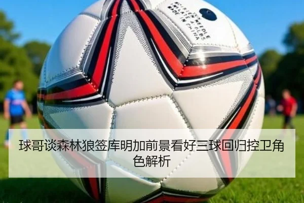 球哥谈森林狼签库明加前景看好三球回归控卫角色解析 - www.hth.comapp